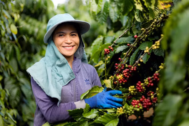 Kinh tế tuần hoàn là động lực chuyển đổi xanh 