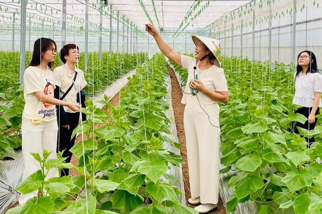 Du khách tham quan trang trại Thanh Nga Luxury. (Ảnh: TRANG ANH)
