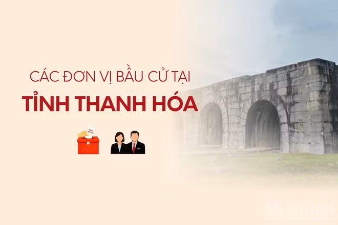 [Infographic] Các đơn vị bầu cử đại biểu Quốc hội tại tỉnh Thanh Hóa