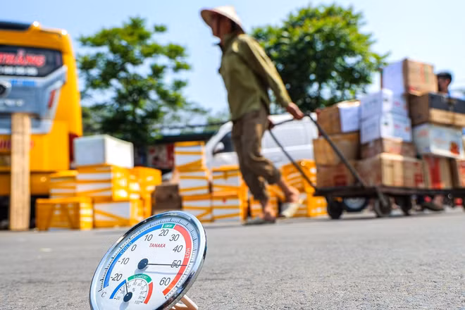 (Ảnh: THÀNH ĐẠT)