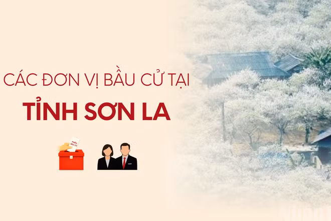 [Infographic] Các đơn vị bầu cử đại biểu Quốc hội tại tỉnh Sơn La