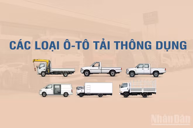 [Infographic] Các loại xe tải thông dụng theo Thông tư số 53/2024/TT-BGTVT 
