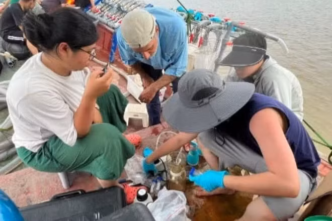 Các nhà nghiên cứu thu thập mẫu để phân tích, đánh giá tác động của rác thải nhựa với môi trường và sức khỏe con người. (Ảnh: THÚY HƯỜNG)