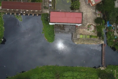 Sông Cầu Bây, một nhánh sông thuộc hệ thống thuỷ lợi Bắc Hưng Hải bị ô nhiễm nghiêm trọng. Ảnh: Chí Anh