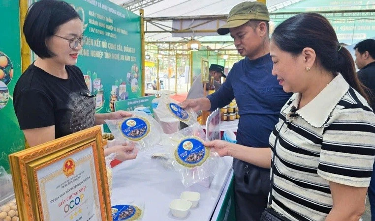Chị Hậu Hưng Nguyên phục dựng chả dam, biến món ăn quê thành sản phẩm OCOP 3 sao