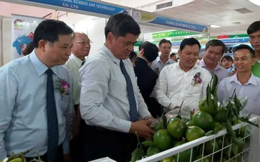 Các đại biểu tham quan gian hàng tại Hội chợ AgroViet 2019.