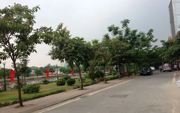 Đường Trịnh Công Sơn ở Hà Nội.