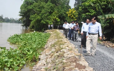 Công trình kè mềm chống sạt lở bờ sông Cần Lố chính thức đưa vào sử dụng.