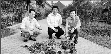Ông Thiều (bên trái) bên ''chiến lợi phẩm'', tiêu diệt loài chuột lạ phá hại cây sâm Ngọc Linh.