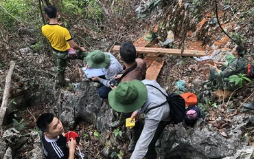 Công an huyện Bạch Thông khám nghiệm hiện trường vụ chặt hạ nghiến trái phép.