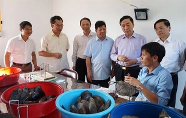 Lãnh đạo tỉnh Thái Nguyên đánh giá cao hiệu quả mô hình nuôi trai lấy ngọc ở hồ Núi Cốc.