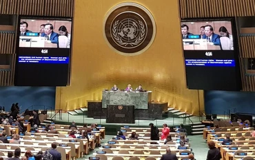 Bộ trưởng Lao động, Thương binh và Xã hội Việt Nam Đào Ngọc Dung phát biểu tại CSW 63 (Ảnh: Molisa). 