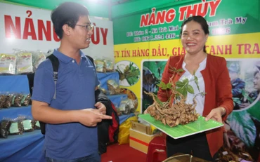Phiên chợ sâm Ngọc Linh do huyện Nam Trà My tổ chức hằng tháng có doanh thu từ 4-5 tỷ đồng. Trong ảnh: Nhiều củ sâm Ngọc Linh có giá bán đến hàng chục triệu đồng