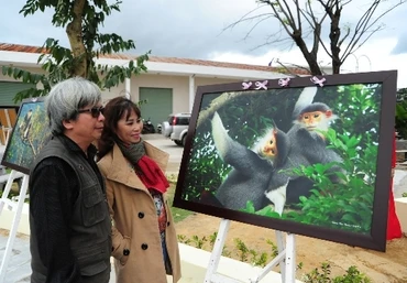 Triển lãm ảnh vọoc chà cá chân nâu của nhà báo Đặng Thu Thuỷ.