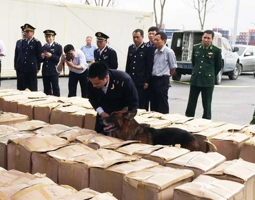 Phát hiện một container lá Khát - loại ma tuý cực độc nhập lậu qua cảng Hải Phòng 
