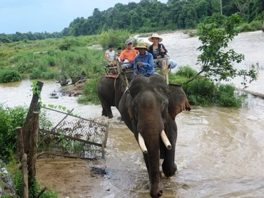 Hiện nay, mô hình du lịch cưỡi voi đang phổ biến ở Đác Lắc. 