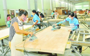 Các FTA mang lại hiệu quả XK lớn cho DN gỗ.