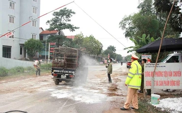 Tỉnh Thái Nguyên duy trì 46 chốt kiểm dịch động vật nhằm ngăn chặn dịch tả lợn châu Phi lây lan.