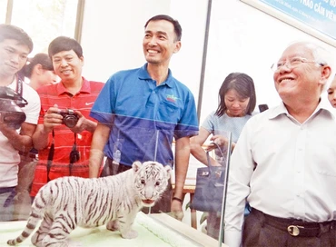 Cán bộ Thảo Cầm viên Sài Gòn giới thiệu với Chủ tịch UBND thành phố Hồ Chí Minh Lê Hoàng Quân một cá thể hổ trắng vừa được nhân giống thành công.