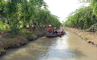 Mô hình trồng cây ăn trái kết hợp đón du khách đến tham quan, trải nghiệm, giúp người dân ở huyện Cao Lãnh (tỉnh Ðồng Tháp) nâng cao thu nhập. Ảnh: THANH LẠC
