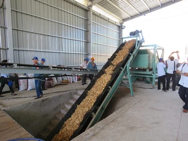 Phú Yên đưa nhà máy chế biến nguyên liệu gỗ rừng trồng vào hoạt động