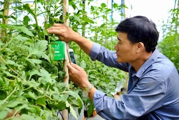 Ứng dụng công nghệ thông minh trong sản xuất nông nghiệp tại Lâm Đồng.