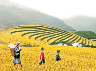Mùa lúa chín ở xã La Pán Tẩn, huyện Mù Cang Chải (Yên Bái). Ảnh: ĐĂNG KHOA