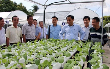 Lãnh đạo tỉnh Ðồng Tháp và các sở, ngành khảo sát quy trình sản xuất của doanh nghiệp trên địa bàn.
