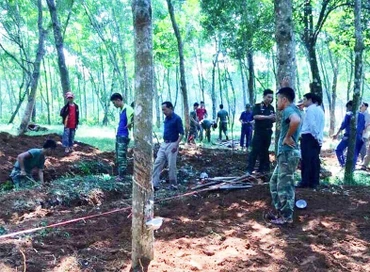 Đội quy tập một liệt sĩ của Sư đoàn 968 đang tiếp tục tìm kiếm hài cốt liệt sĩ giữa vườn cao-su thôn Hoàn Cát