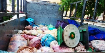 Lượng mỡ không rõ nguồn gốc bị bắt giữ.