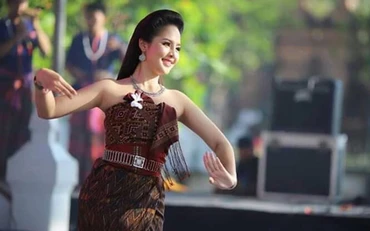 Tiết mục của một số đoàn nghệ thuật Việt Nam tham dự liên hoan.