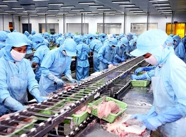 Brazil cấp phép nhập khẩu trở lại thủy sản Việt Nam