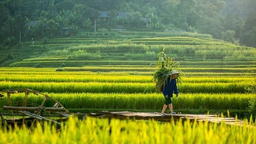 Một thoáng Pù Luông 