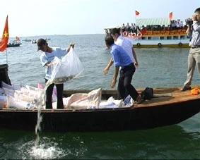 Ngư dân đang thả cá trên hồ Trị An.