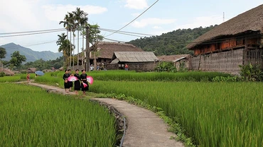 Hành trình trở về tuổi thơ