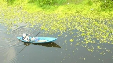 Một góc Vườn quốc gia U Minh Thượng.