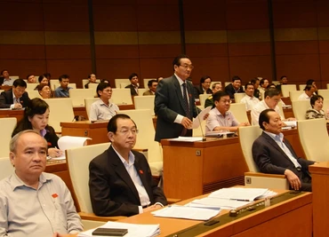 Đại biểu Quốc hội TP Hồ Chí Minh phát biểu ý kiến tại hội trường. Ảnh: DUY LINH