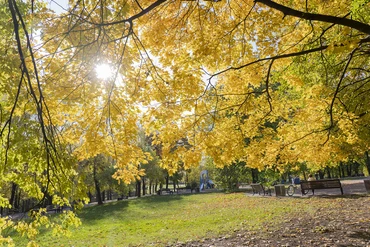 Sắc mầu "mùa thu vàng" ở Moscow