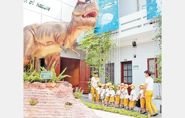 Thú vị Bảo tàng Thiên nhiên Việt Nam