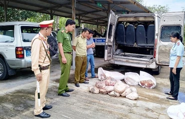 Lực lượng chức năng tạm giữ phương tiện cùng tang vật.