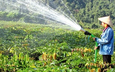  Công nhân Công ty TNHH một thành viên Cao-su Hương Khê - Hà Tĩnh (Tập đoàn Công nghiệp Cao-su Việt Nam) chăm sóc vườn ươm. Ảnh: Công Lâm