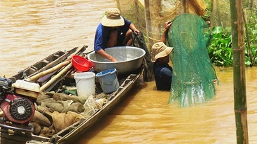 Đi gỡ đáy.