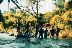Rừng Khộp biên giới.