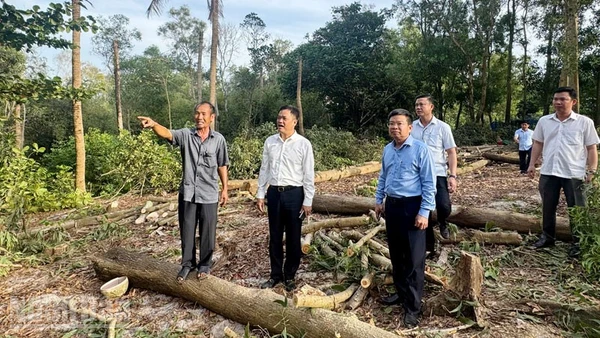 Bí thư Đảng ủy đặc khu Phú Quốc Lê Quốc Anh (thứ hai, từ trái qua) vận động nhân dân bàn giao đất để triển khai các công trình phục vụ APEC 2027. 