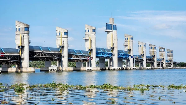 Cống Cái Lớn chủ động vận hành phục vụ sản xuất và sinh hoạt của người dân.