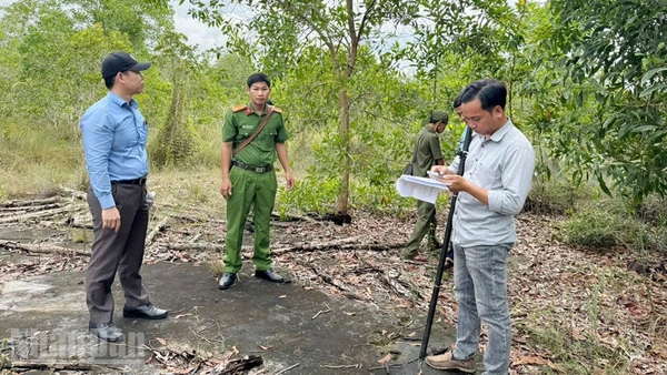 Lực lượng chức năng đặc khu Phú Quốc kiểm tra hiện trạng đất rừng phòng hộ bị bao chiếm.