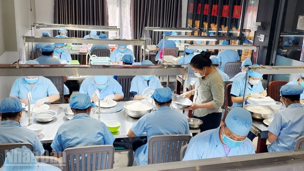 Chế biến sản phẩm từ yến ở An Giang.