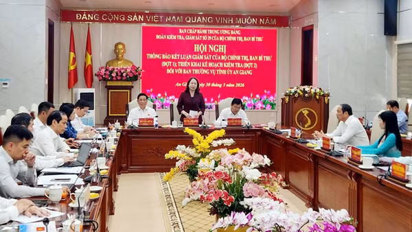 Phó Chủ tịch nước Võ Thị Ánh Xuân phát biểu tại buổi làm việc. 