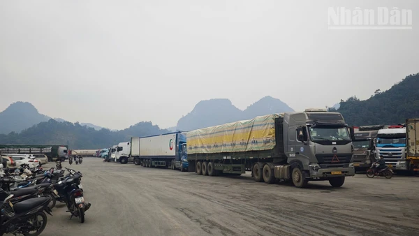 Các phương tiện chờ xuất khẩu hàng hóa tại bến bãi khu vực cửa khẩu Tân Thanh.