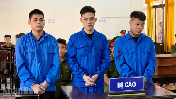 Tấn (bìa trái), Quý và Thật (bìa phải) tại phiên tòa. (Ảnh: VĂN VŨ)